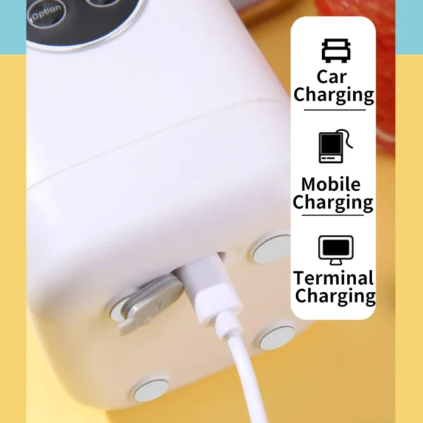 Portable Blender for Shakes & Smoothies